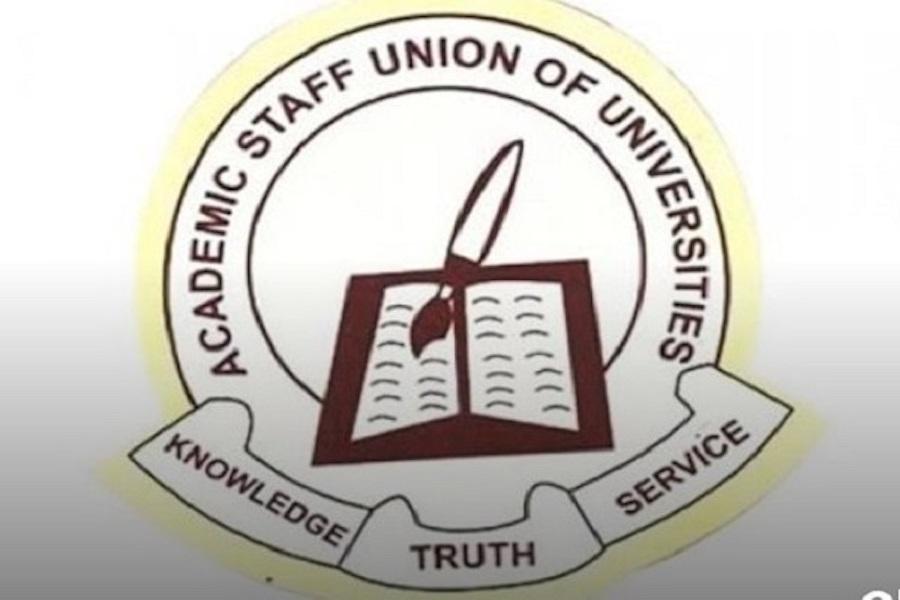 FG Pays University Lecturers Half Salary