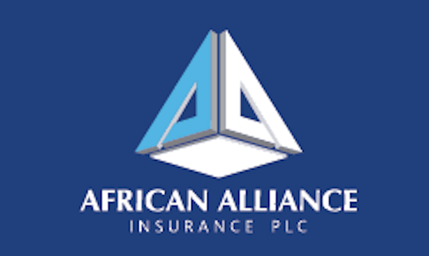 African Alliance Bags Claims Excellence Award