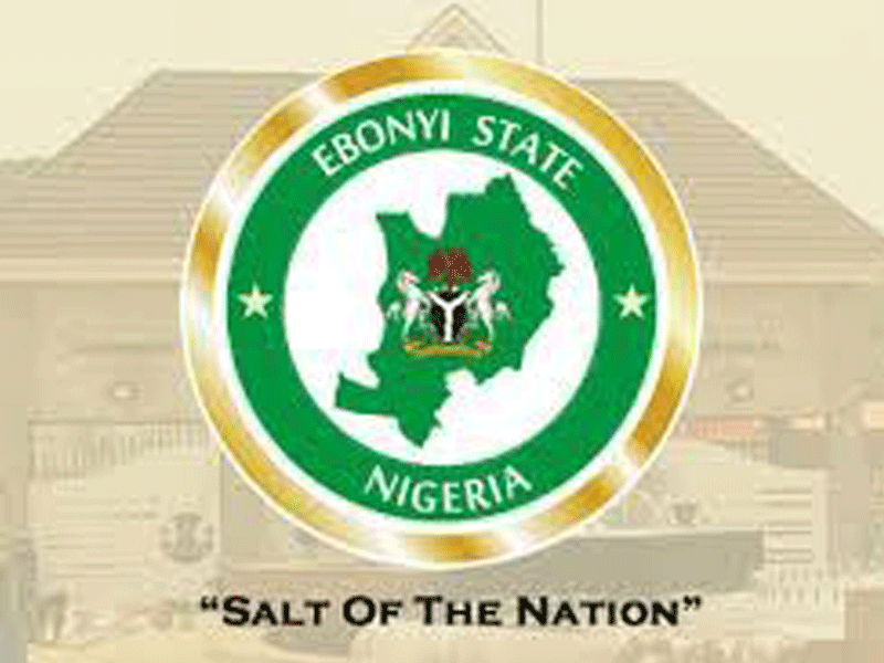 Foreign Observers Urge INEC to Cancel Results of Ebonyi Volatile Areas
