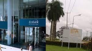 Ecobank Partners IITA to Train, Support 16,000 Youths on Wealth Creation
