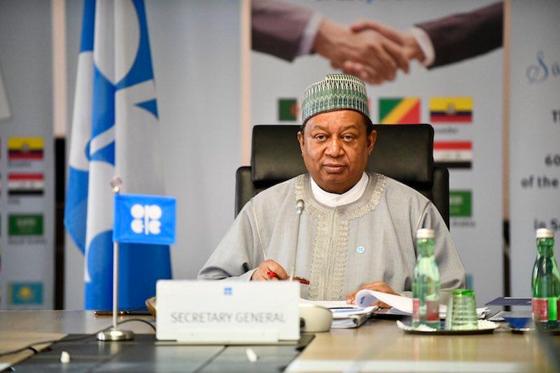 OPEC Lauds ARDA Over Achievements in Africa