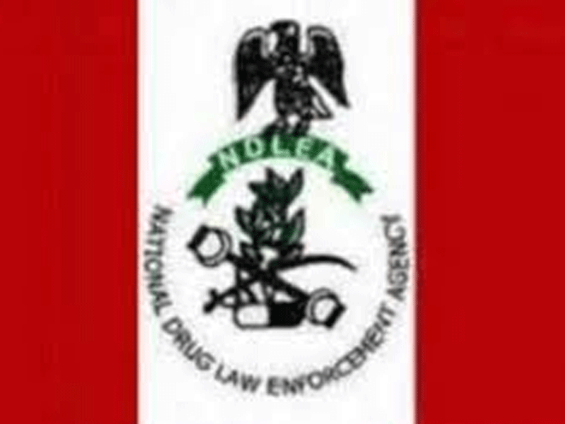 NDLEA Invites Niger LGA Chairman over Alleged Support for Drug Consumption