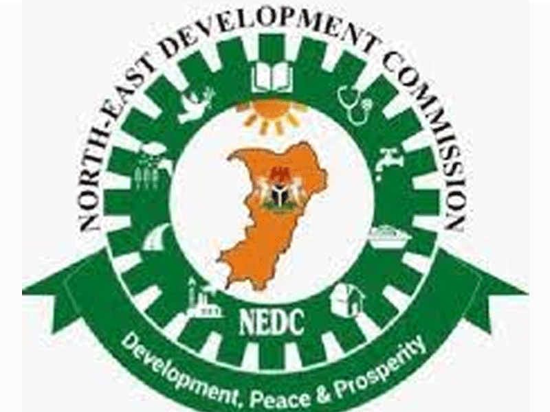 IDPs’ Monthly Feeding: NEDC Takes Over from NEMA in Borno, Adamawa