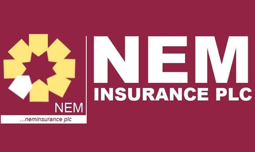 NEM Insurance Establishes Life, Health Management Firms