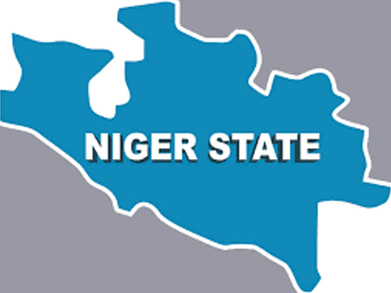 Bago/Garba APC Niger Governorship Ticket Gets Support