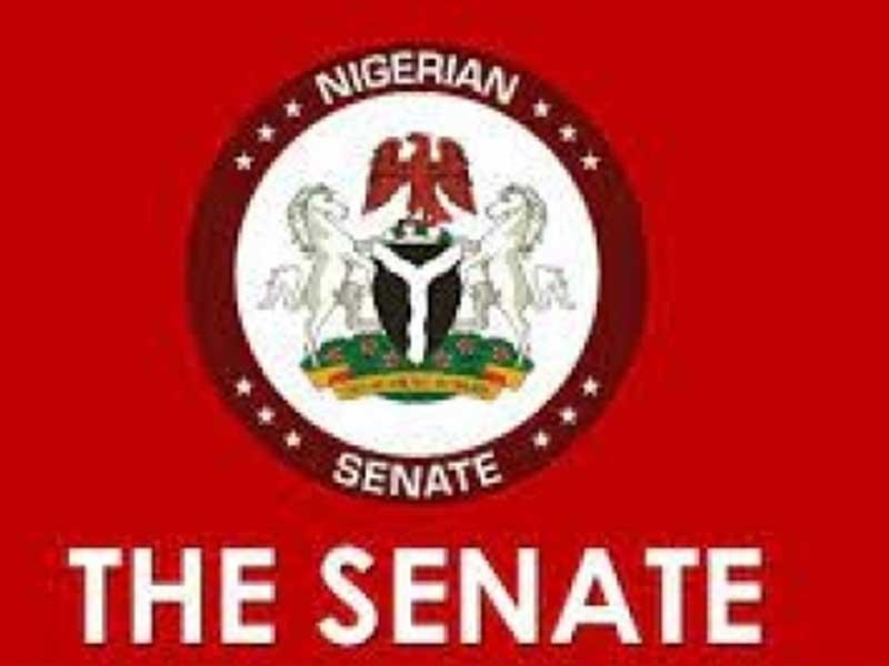 <strong>Senate Extends 2022 Budget Implementation to June </strong>