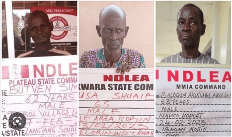 Three Grandfathers, Nigerien, Arrested Over 52kgs Cocaine, Skunk