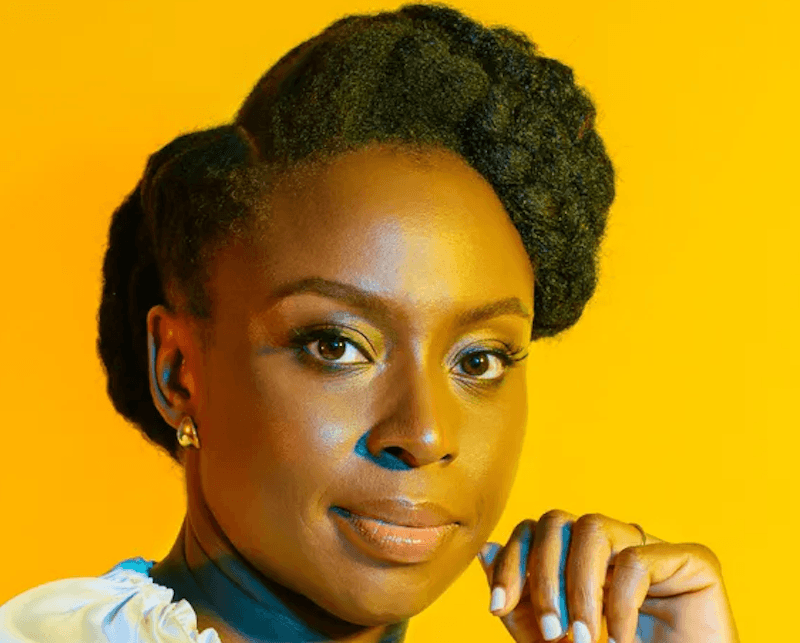 Apologise to Nigerians, Group Tells Chimamanda Adichie