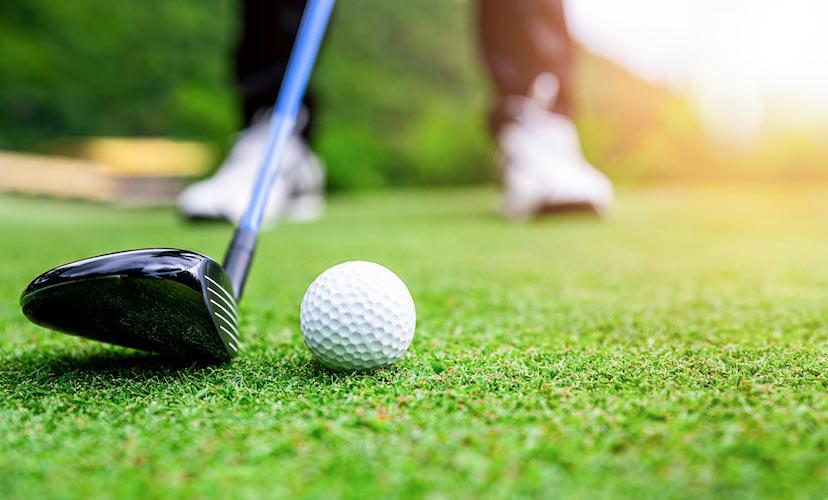Group Launch Support for the Devt of Golf
